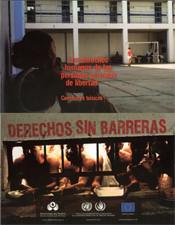 Los derechos humanos de las personas privadas de libertad, cuestiones básicas