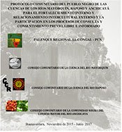Protocolo Comunitario del Pueblo Negro de las Cuencas de los Ríos Mayorquín, Raposo y Anchicayá