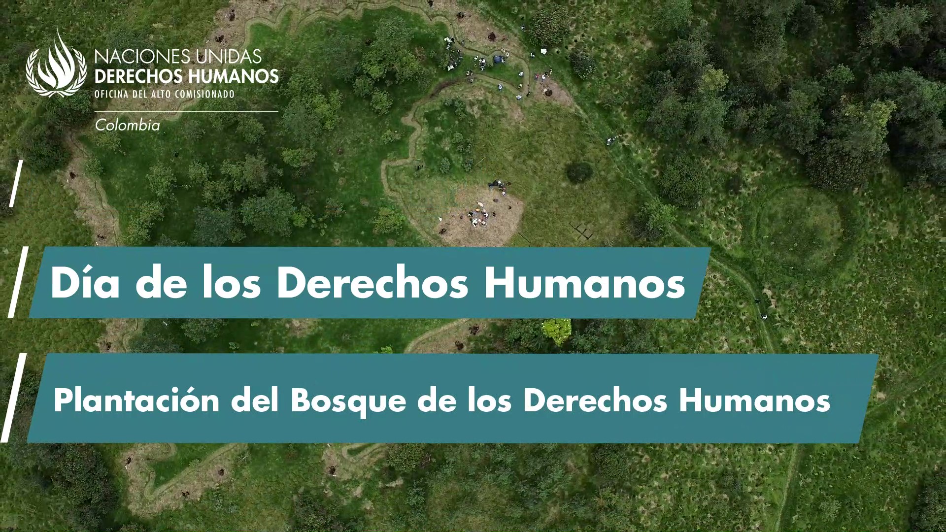 Inicio de la campaña por los 75 años de la Declaración Universal, con la plantación del Bosque de los Derechos Humanos