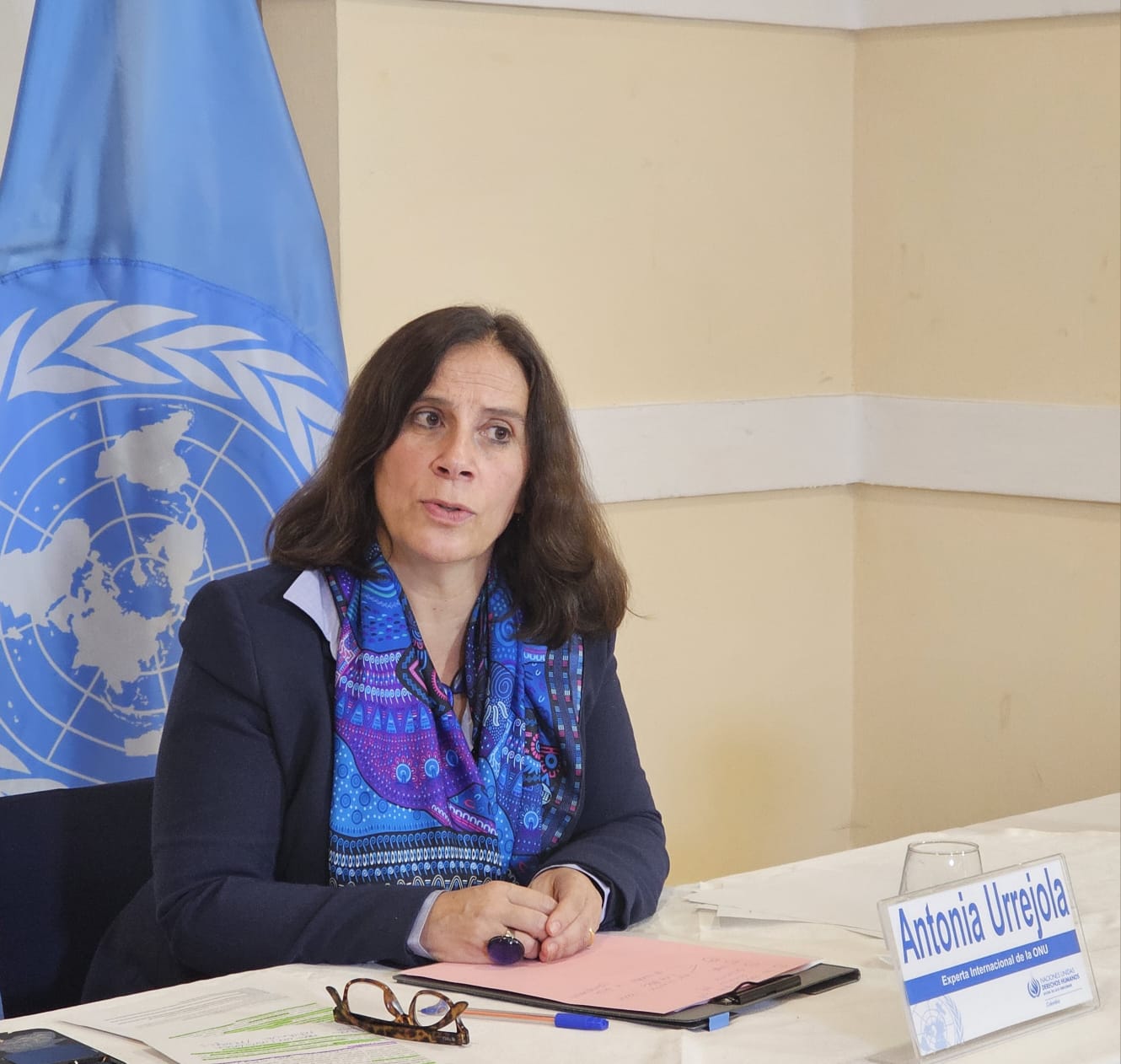 Observaciones preliminares de la experta internacional en derechos humanos:  Antonia Urrejola