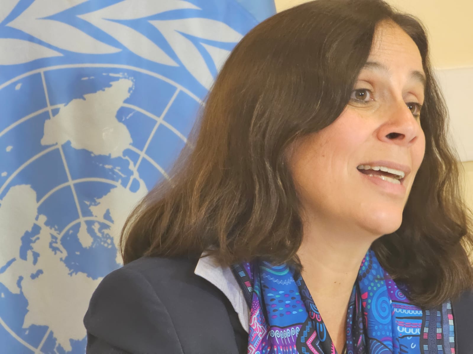 Colombia: Experta de la ONU llama a implementar el Acuerdo de Paz como una política de Estado